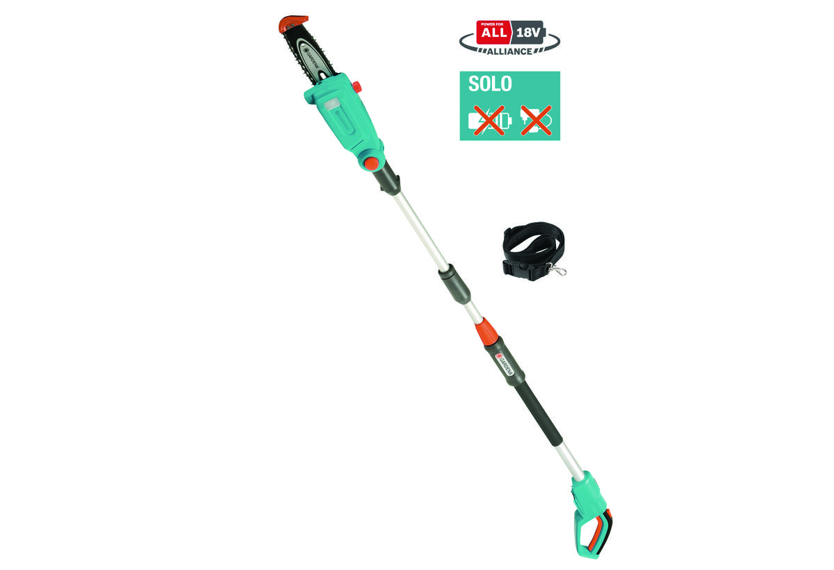 Απεικονίζεται το κονταροπρίονο 